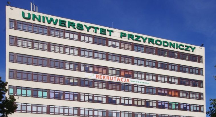 UPP Poznań naklejki na legitymację els sprzedaż dla kolekcjonerów